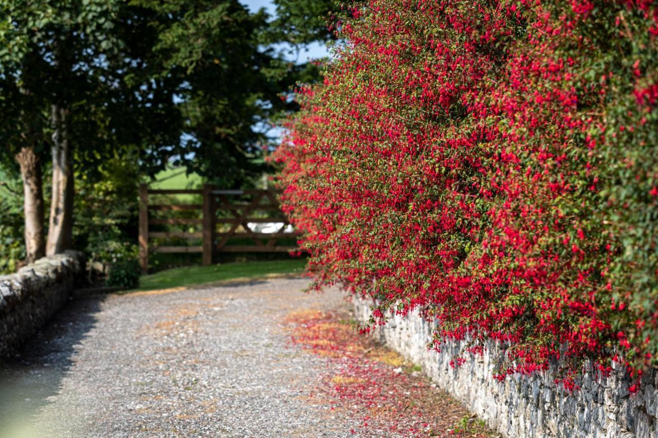 Craigmount Bed and Breakfast Wigtown Εξωτερικό φωτογραφία